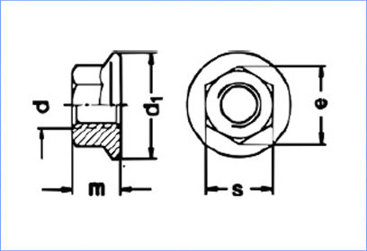 Flange Nut