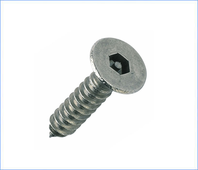 Pin Hex ( Countersunk) – Self Tapping