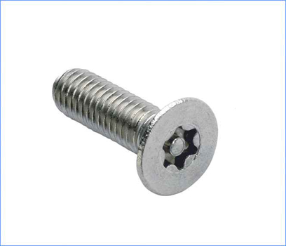 Pin Torx