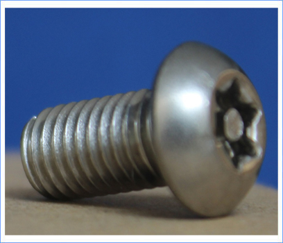 Pin Torx