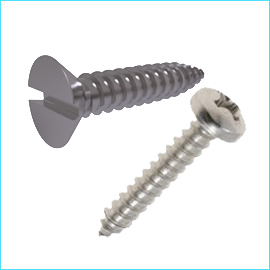 Self Tapping Screw